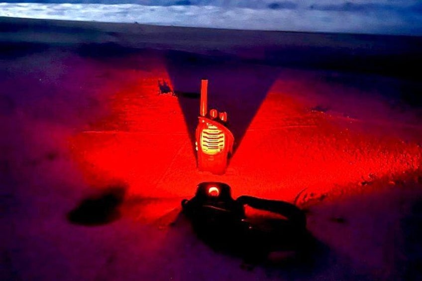 Guided turtle tour in a group in Boa Vista 3