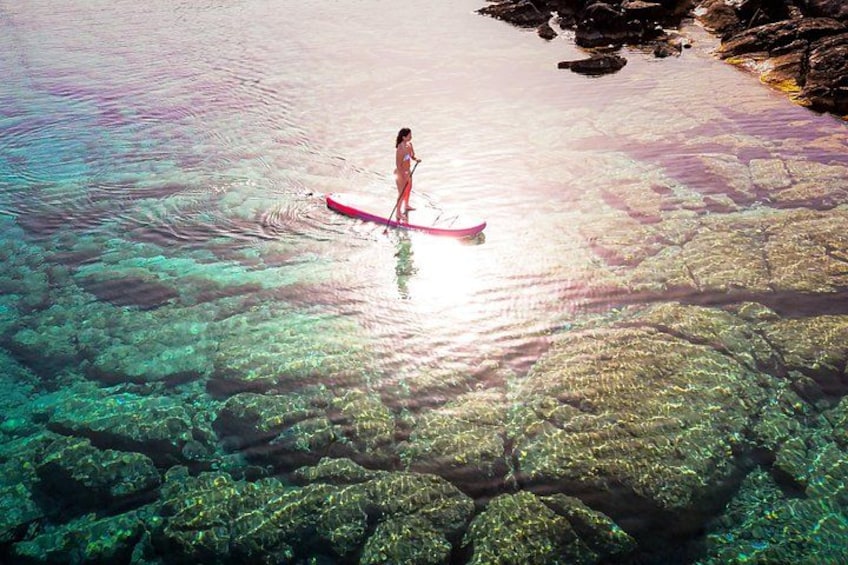 Eine Person steht auf einem Paddleboard auf klarem Wasser, unter dem Felsen und Korallen sichtbar sind. 5
