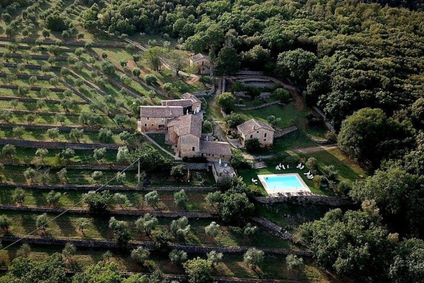 An aerial view of a vineyard with terraced fields, a large house, and a swimming pool. 2
