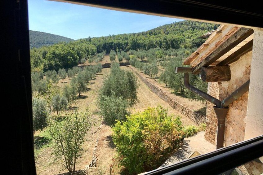 Evo Oil Experience with Oil Tasting and Lunch in the Nature 3