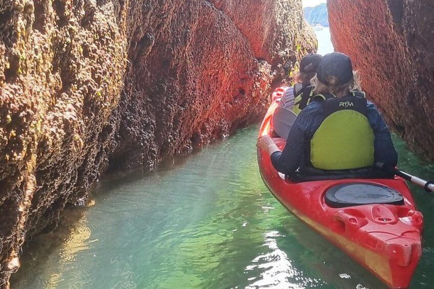 Wildlife, Sea Cave and Bushcraft Kayak Safari in English Riviera 2