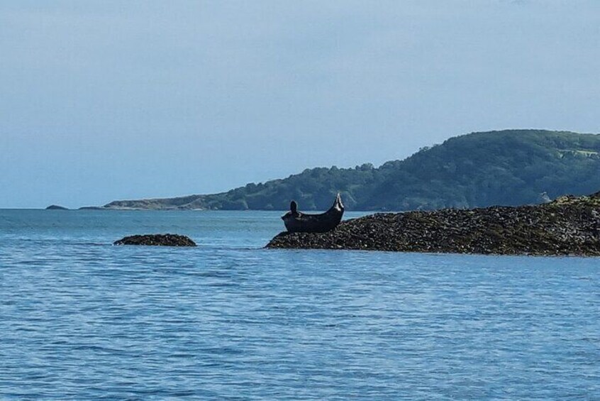 A rocky shoreline with a boat anchored near the rocks. 3