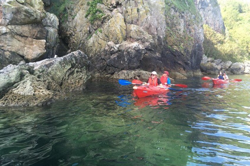 Wildlife, Sea Cave and Bushcraft Kayak Safari in English Riviera 4