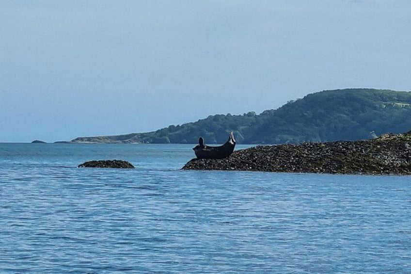 Calm sea water, a rocky outcrop, and a distant hill. 5