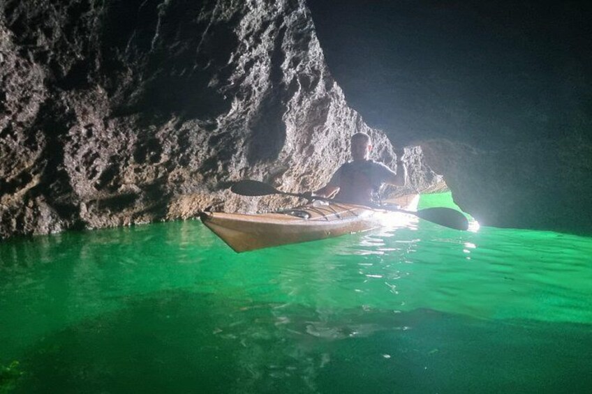 Wildlife, Sea Cave and Bushcraft Kayak Safari in English Riviera 3