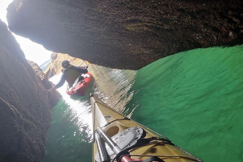 Wildlife, Sea Cave and Bushcraft Kayak Safari in English Riviera 3