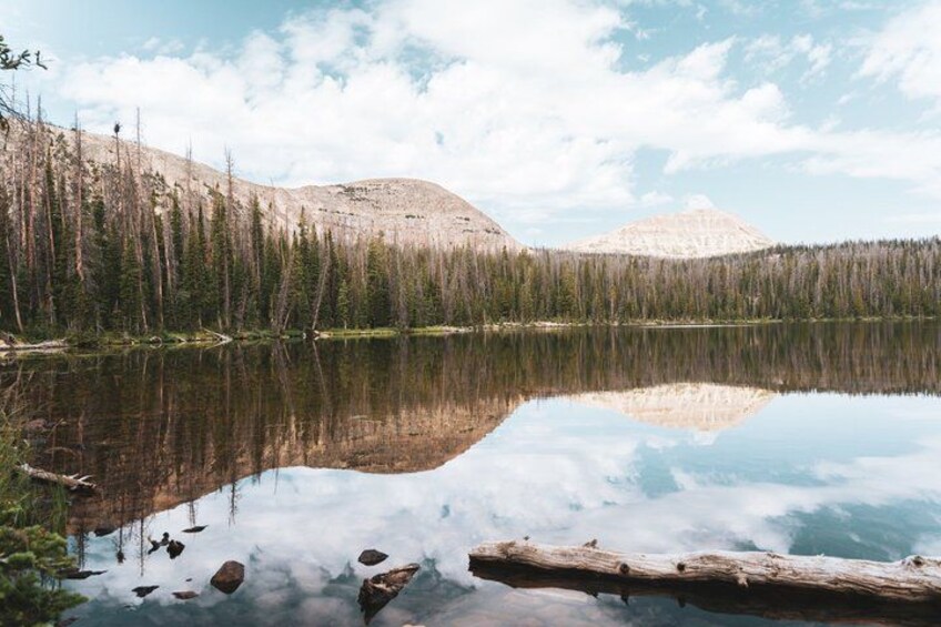 A calm lake with reflections of trees and mountains, surrounded by a forest. 4
