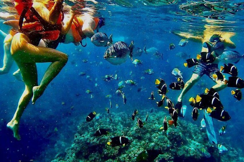Paddleboard and Snorkeling Experience in Los Arcos 3