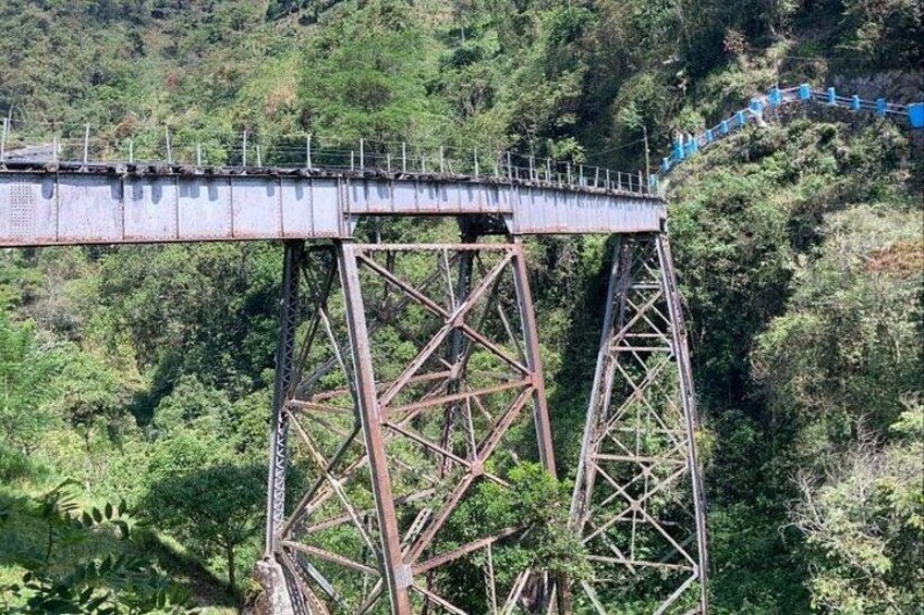 Un puente de metal oxidado con estructura de celosía, rodeado de un bosque verde y tupido. 4