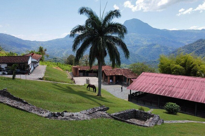 Paisaje rural con un caballo pastando, una palmera y edificios tradicionales con tejados rojos. 1