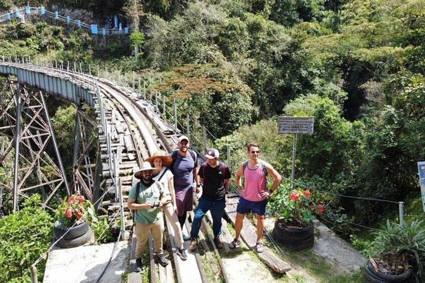 Una vía de montaña rusa de madera, un letrero y exuberante follaje. 5