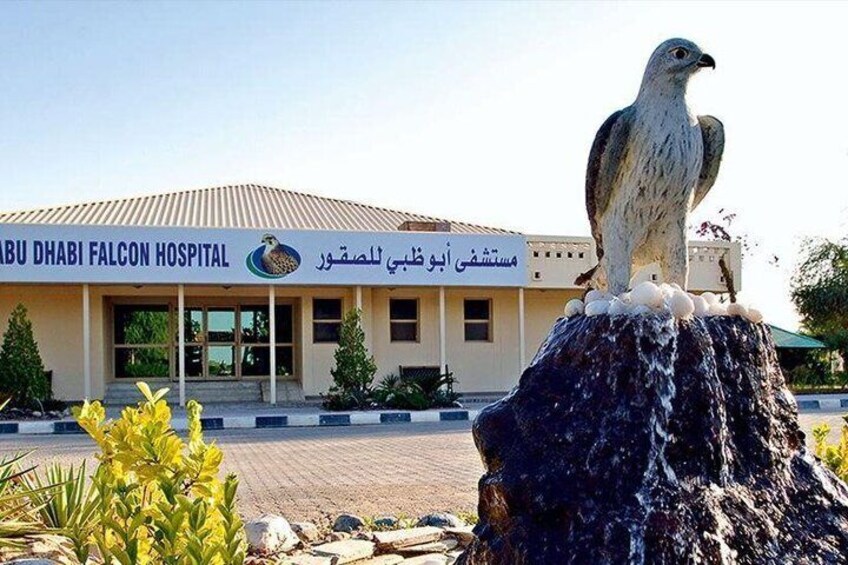 Falcon Hospital Tour with Transportation 4
