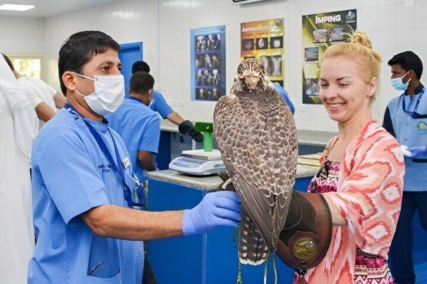 Falcon Hospital Tour with Transportation 3