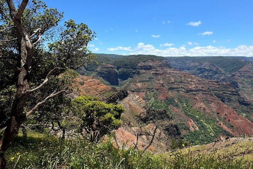 Small-Group Waimea Canyon Adventure Tour & Beyond with Lunch 3