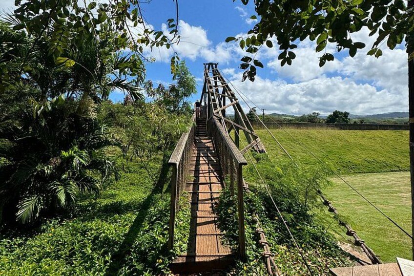 Small-Group Waimea Canyon Adventure Tour & Beyond with Lunch 4