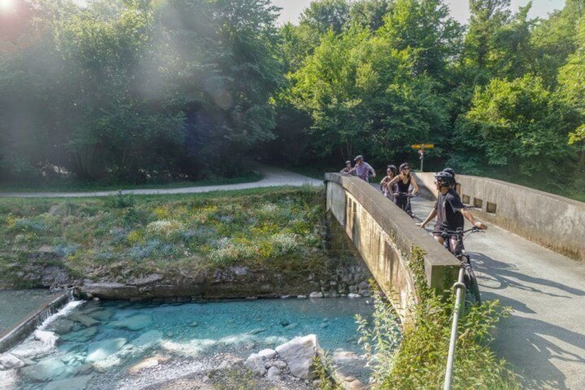 Interlaken Valley E-Bike Tour: Rivers, Lakes, Forests & Castles 4