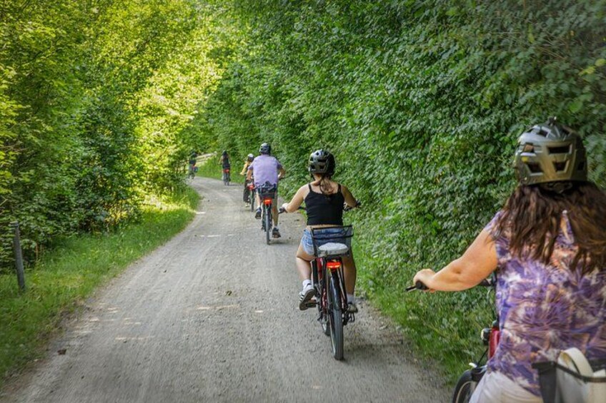 Interlaken Valley E-Bike Tour: Rivers, Lakes, Forests & Castles 4