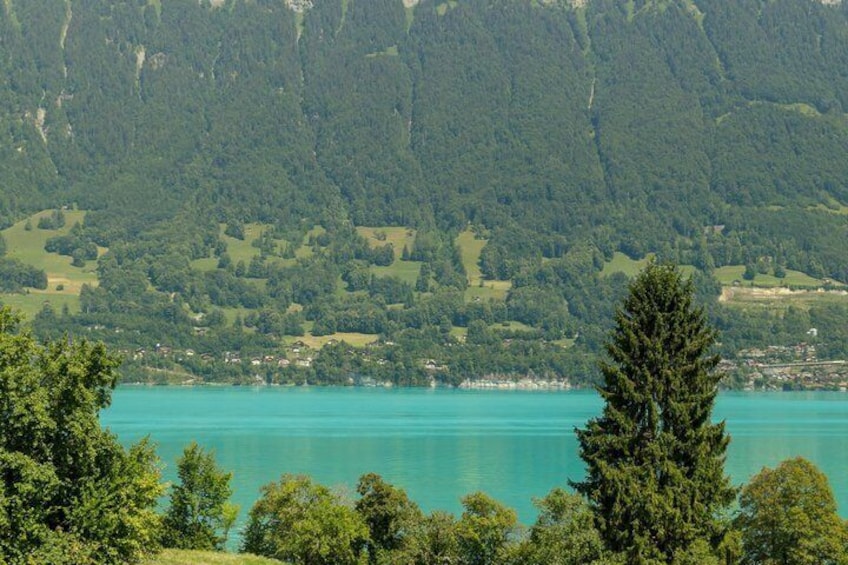 Interlaken Valley E-Bike Tour: Rivers, Lakes, Forests & Castles 5