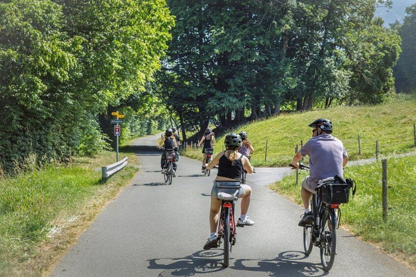 Un groupe de cyclistes sur une piste asphaltée, entourée d’arbres. 2