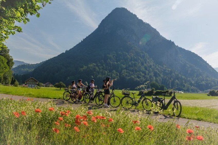 Interlaken Valley E-Bike Tour: Rivers, Lakes, Forests & Castles 4