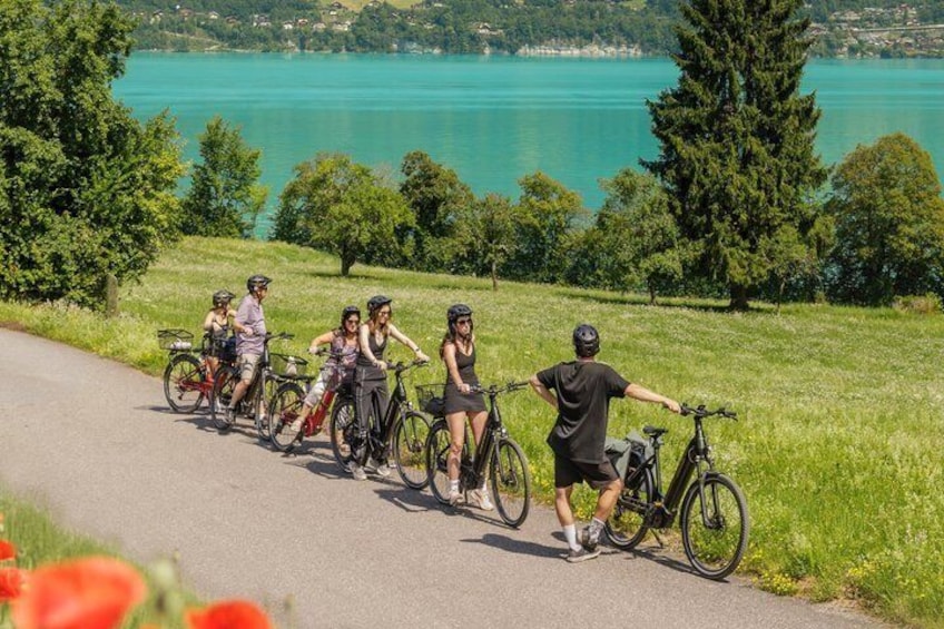Interlaken Valley E-Bike Tour: Rivers, Lakes, Forests & Castles 2