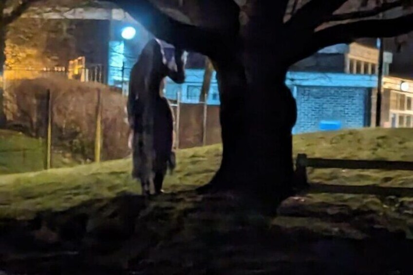 A person walking under a tree at night. 3