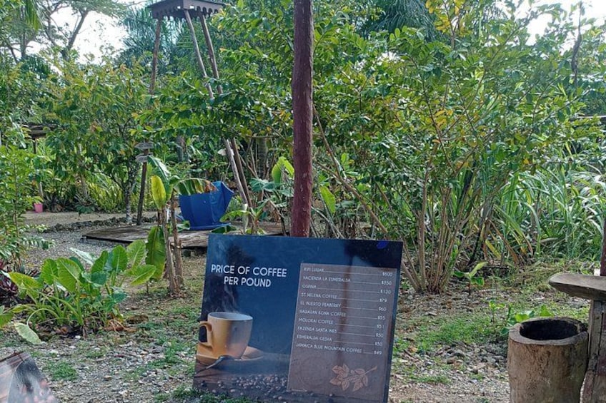 Een bord met koffieprijzen per pond, in een tuin. 4