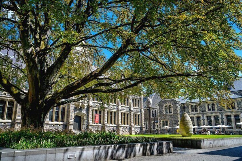 Queenstown to Christchurch: Wānaka, Mt Cook & Tekapo 1-Way Tour 4