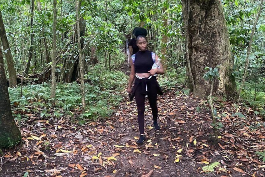A person walking on a forest path surrounded by trees and fallen leaves. 3