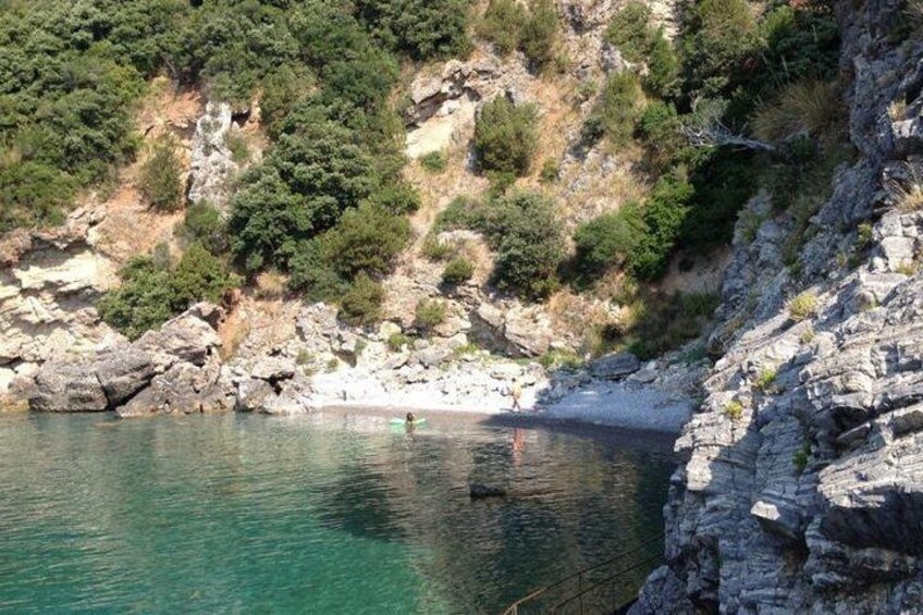 Costa rocosa con aguas claras, una persona nadando y vegetación densa en los acantilados. 5