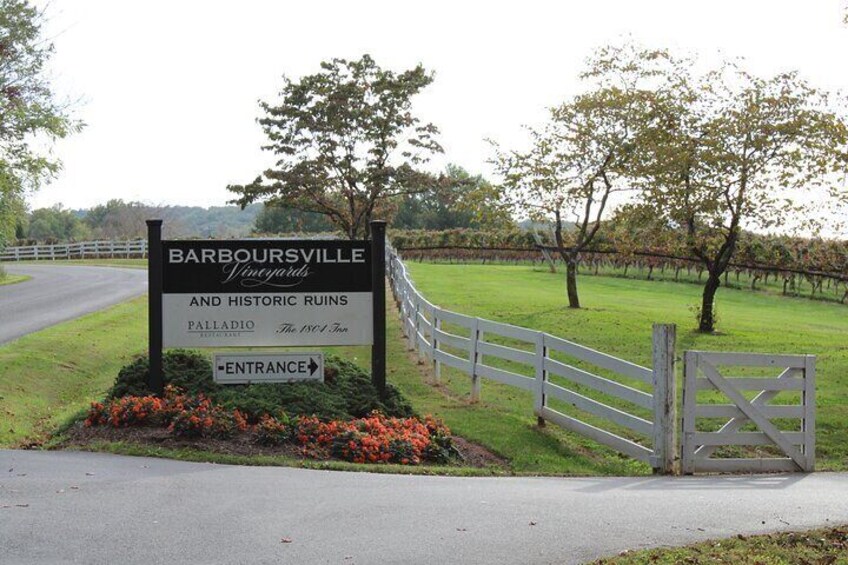 Barboursville Vineyard