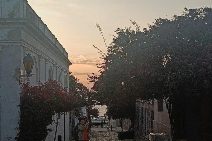 Santa Rita 2