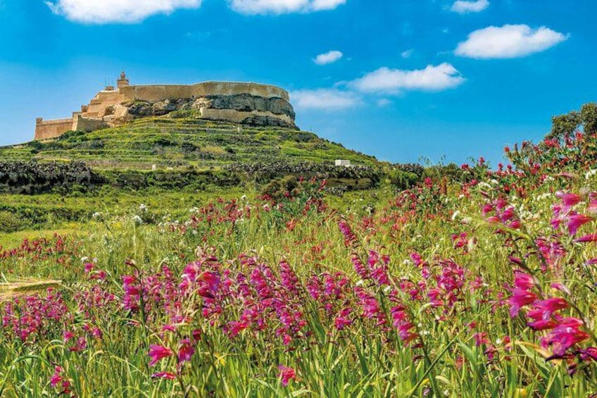 From Malta: Gozo Jeep Tour with Lunch and Hotel Transfers 2
