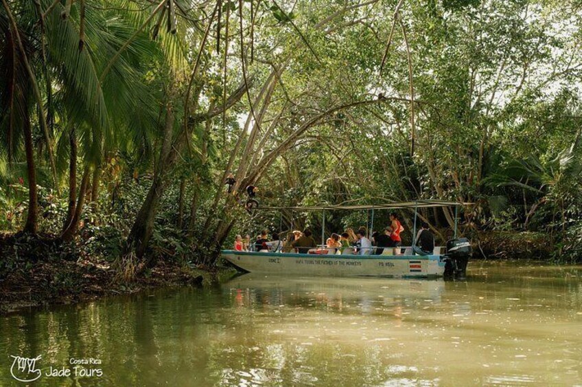 Mangrove Boat Tour Damas Island, Manuel Antonio 4