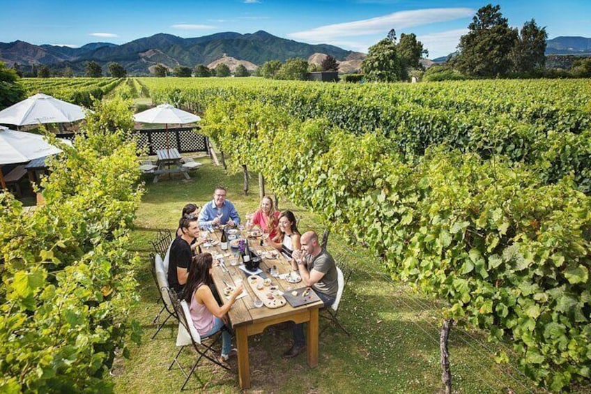 A group of people dining outdoors in a vineyard with tables and chairs. 5