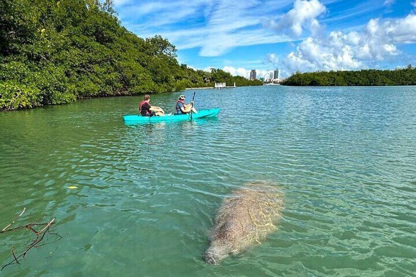 Deux personnes pratiquent le kayak sur une rivière paisible, une grande tortue nage à proximité, et une rive boisée s’étend le long du cours d’eau, avec des bâtiments visibles au loin. 4