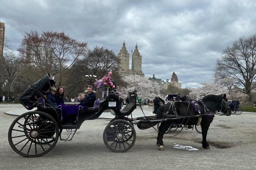 NYC Empire State Horses Carriage Ride in Central Park (45 Mins) 2
