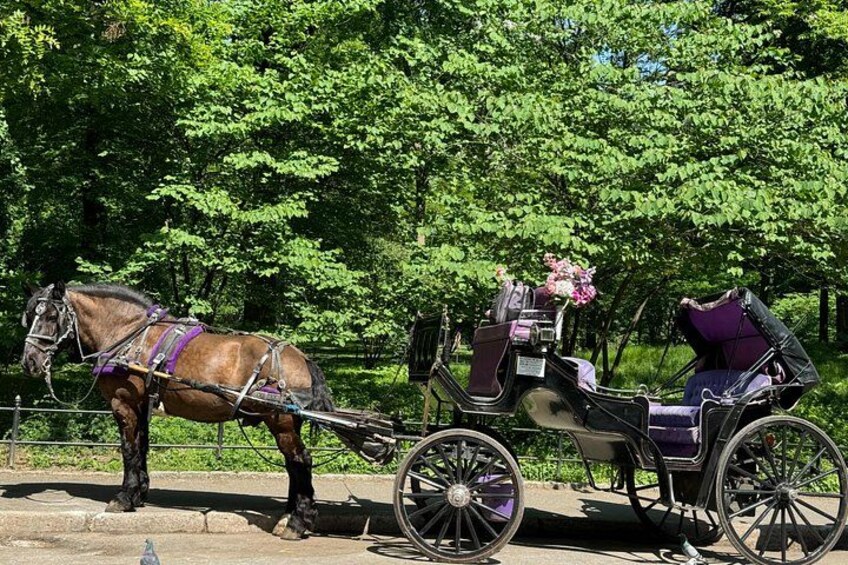 NYC Empire State Horses Carriage Ride in Central Park (45 Mins) 4