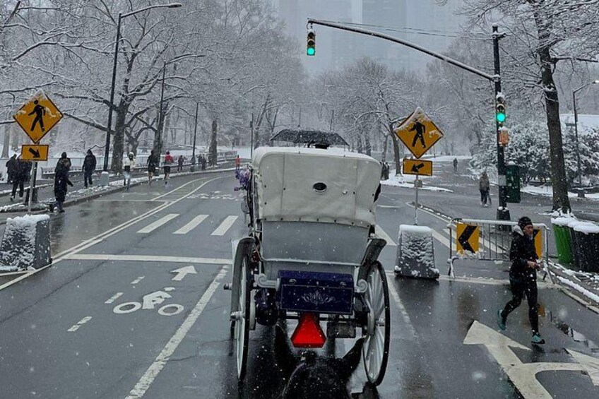 Winter & Snow &Central Park 5