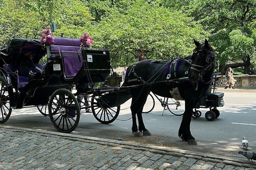 NYC Empire State Horses Carriage Ride in Central Park (45 Mins) 1