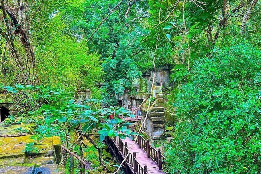 A wooden bridge in a lush green forest with stone structures in the background. 5