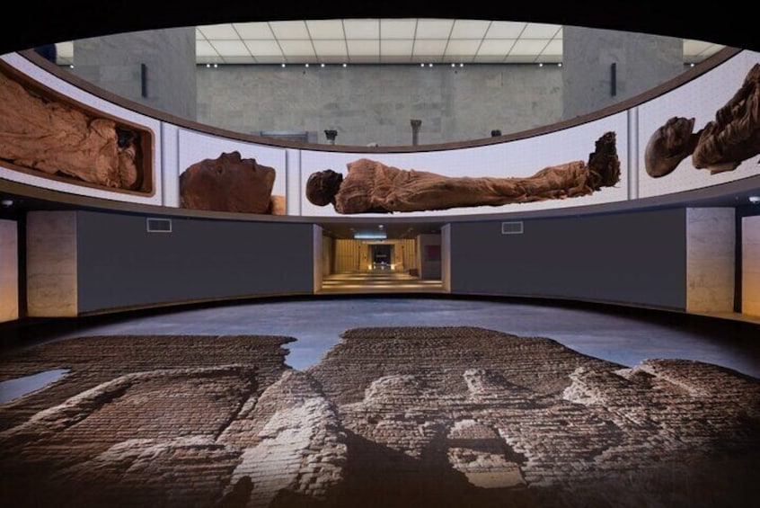 L’intérieur d’un musée présente de grandes vitrines exposant des fossiles et une exposition centrale mettant en vedette une empreinte fossilisée. 1