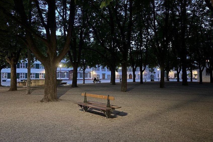 Basel's Historical Old Town Tour (Night) 2