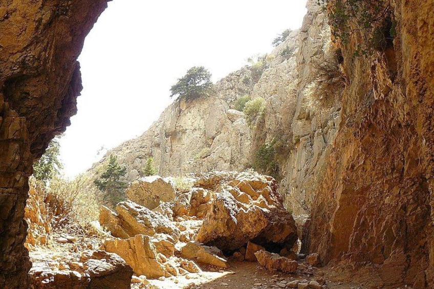 Un cañón rocoso con un estrecho paso y un árbol en un risco. 5