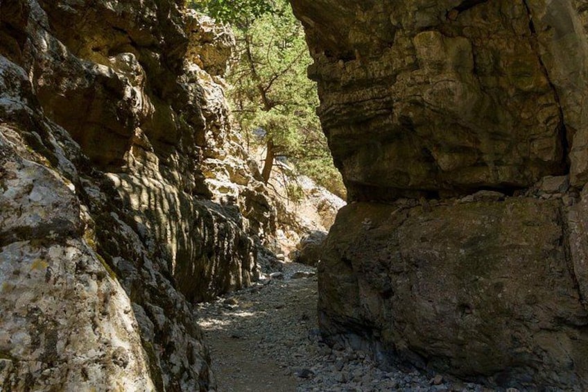 Un cañón rocoso con un sendero estrecho, grandes rocas y vegetación escasa. 4
