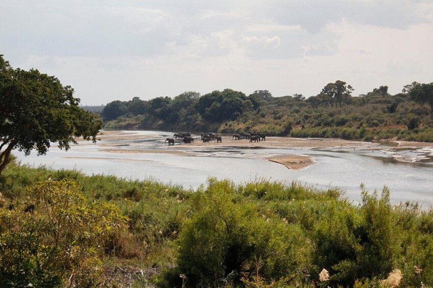 A river with elephants and a group of people in the distance. 4