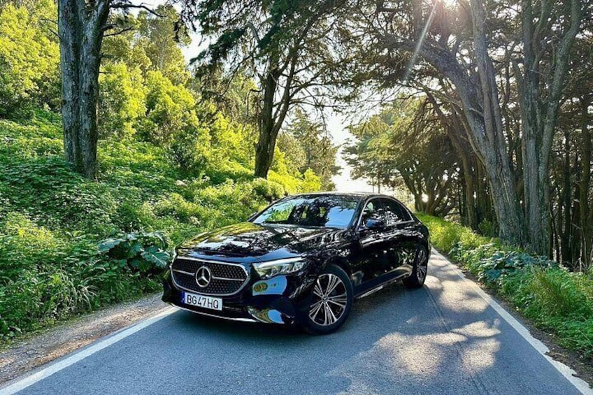 Un automóvil Mercedes-Benz negro en una carretera bordeada de árboles. 3
