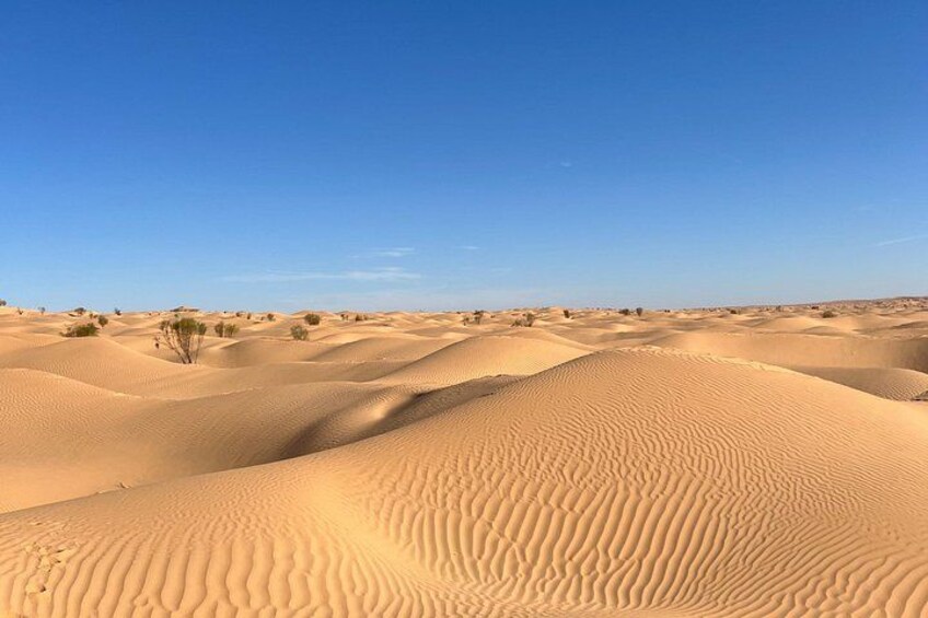 2 Days and 1 Night Excursion to Ksar Ghilane Under the Tent 3