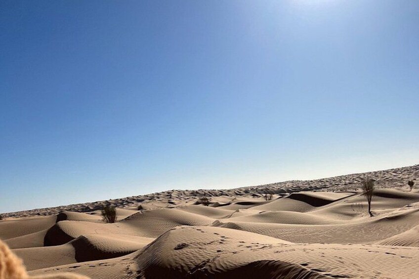 2 Days and 1 Night Excursion to Ksar Ghilane Under the Tent 4