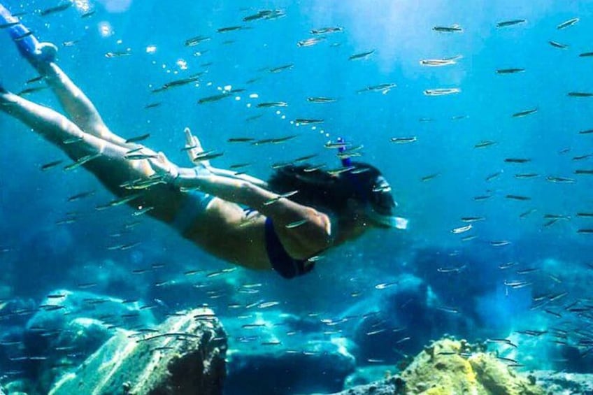 Una persona fa immersioni subacquee circondata da pesci. 2